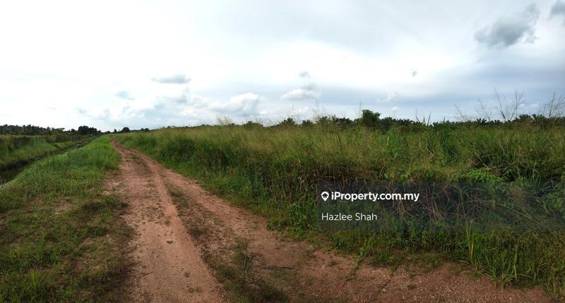 Industrial Land for Sale in Kampung Parit Kassim, Rimba Terjun by Hazlee Shah - iProperty.com.my