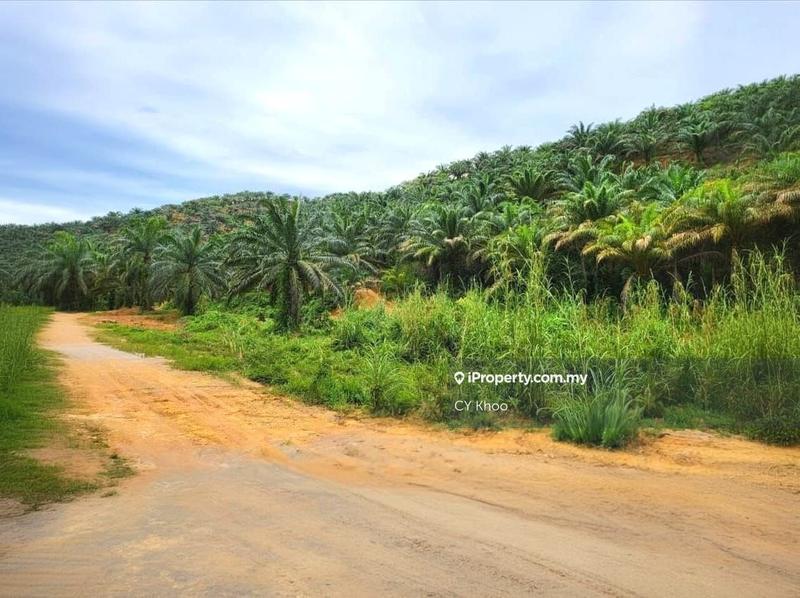 Tanah Pertanian untuk Dijual di Kelantan Gua Musang Limau Kasturi Sungai Galas, Limau Kasturi oleh CY Khoo - iProperty.com.my