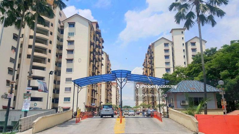 For Sale - Vista Lavender