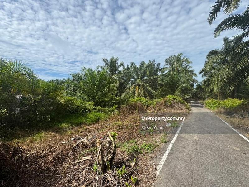 For Sale - Batang Berjuntai Zone Industrial land