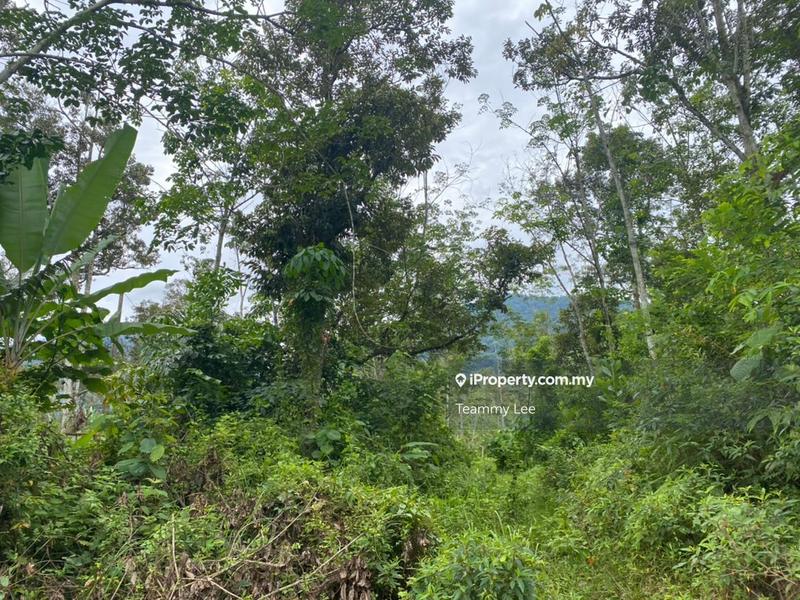 Tanah Pertanian untuk Dijual di Broga, Lenggeng oleh Teammy Lee - iProperty.com.my