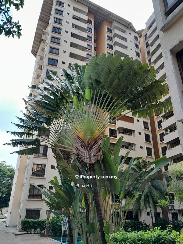 Condominium for Rent in Palm Spring @ Damansara by Phua HP - iProperty.com.my