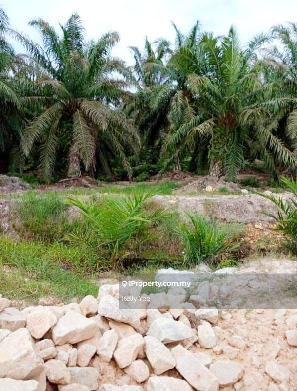 Tanah Pertanian untuk Dijual di Palm Oil Plantation @ Teluk Intan for Sale, Teluk Intan oleh Kelly Yee - iProperty.com.my