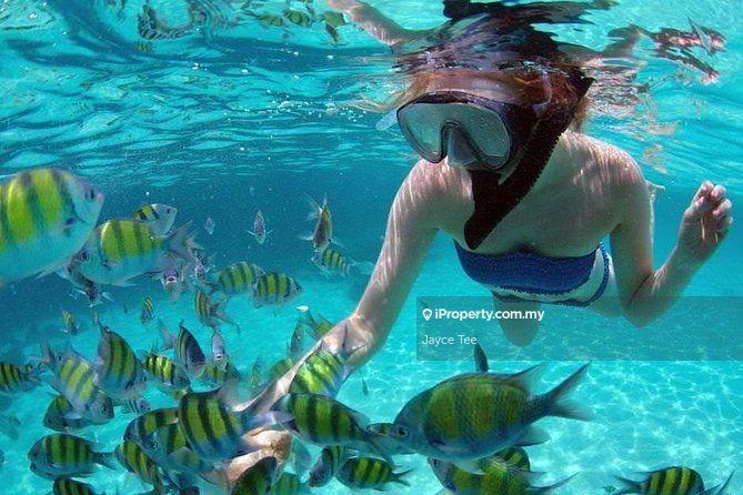 Residensi Servis untuk Dijual di Tropicana Cenang oleh Jayce Tee - iProperty.com.my