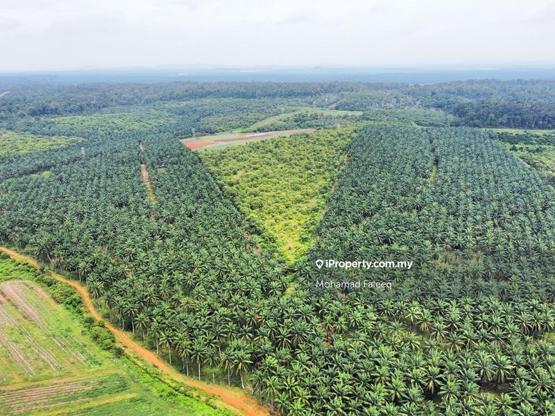 Agricultural Land for Sale in Pantai, Negeri Sembilan by Mohamad Faleeq - iProperty.com.my