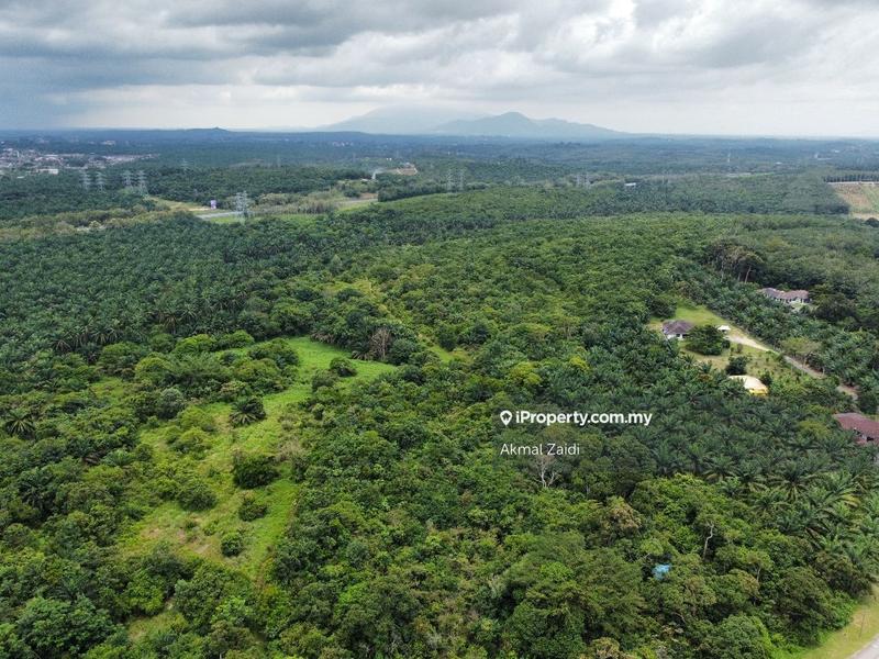 For Sale - 15 Acre Sungai Udang Land