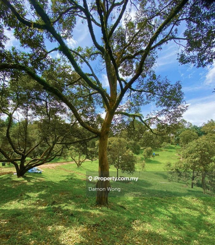 Agricultural Land for Sale in Tras, Raub by Damon Wong - iProperty.com.my
