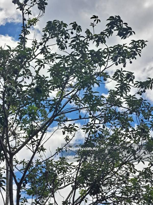 Agricultural Land for Sale in Papar, Sabah by Angela Yen - iProperty.com.my