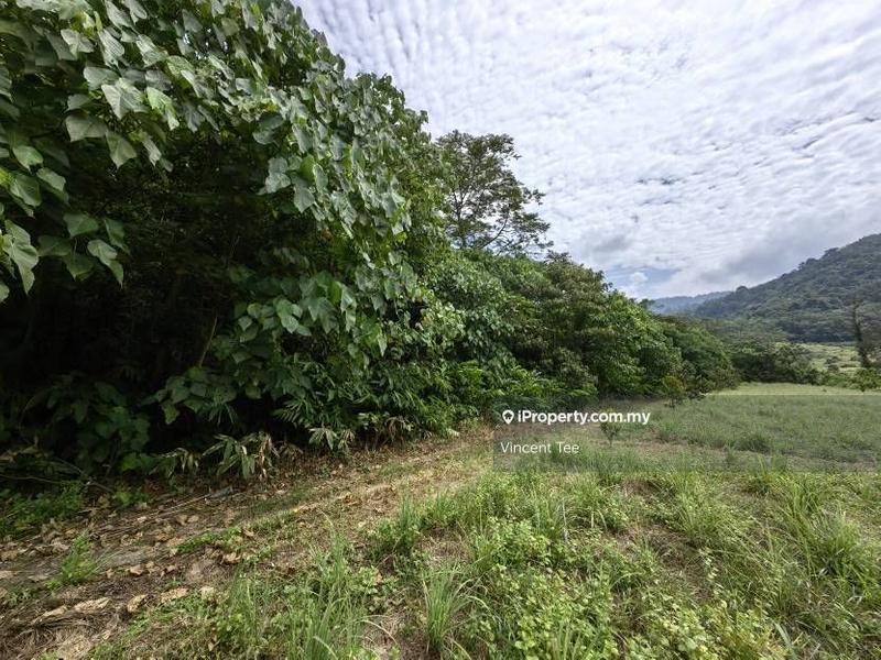 Tanah Pertanian untuk Dijual di Kampung Sungai Lalang, Semenyih oleh Vincent Tee - iProperty.com.my