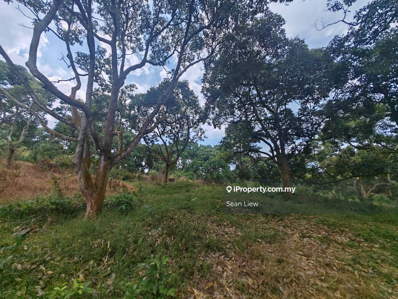 Tanah Pertanian untuk Dijual di Jasin , Melaka, Jasin oleh Sean Liew - iProperty.com.my