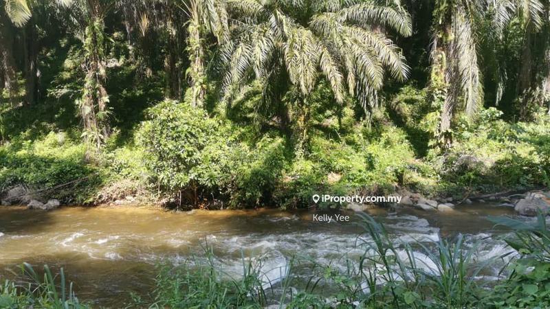 For Sale - Palm Oil Plantation @ Sungai Siput for Sale
