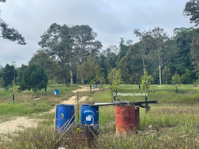 Agricultural Land for Sale in Karak,Pahang, Kuantan by James Ng - iProperty.com.my
