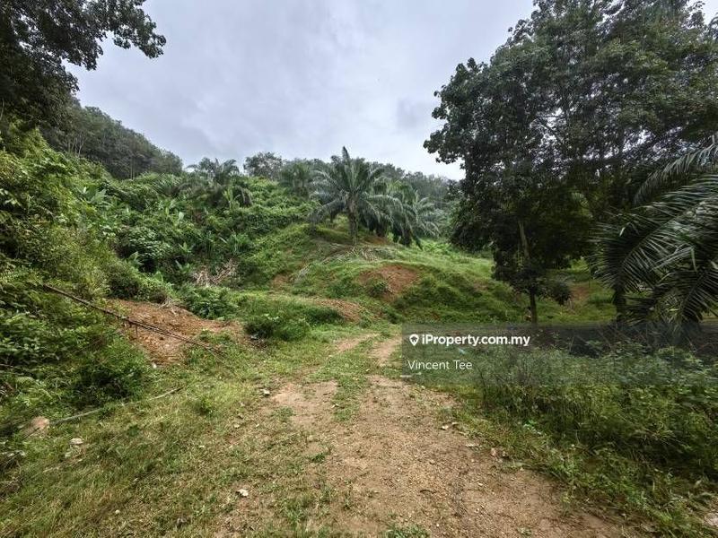 Agricultural Land for Sale in Pekan Lama, Kuala Pilah by Vincent Tee - iProperty.com.my