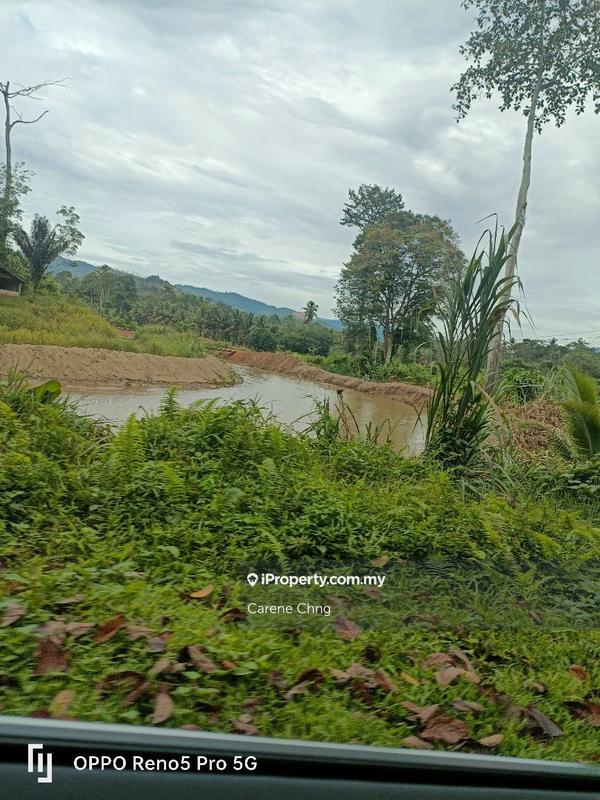 Tanah Pertanian untuk Dijual di Kampung Titi, Titi oleh Carene Chng - iProperty.com.my