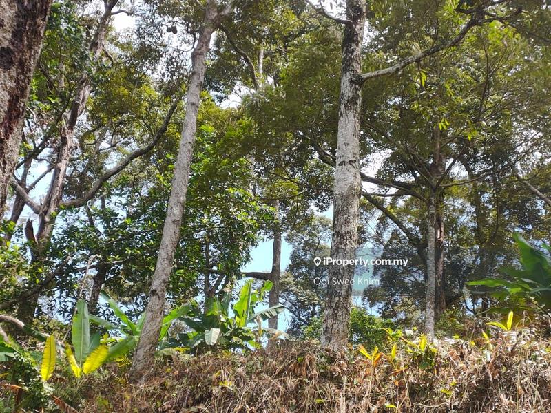 Tanah Pertanian untuk Dijual di Teluk Kumbar, Penang oleh Ooi Swee Khim - iProperty.com.my