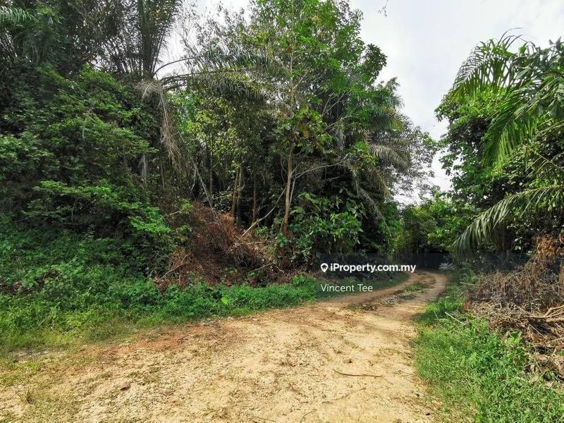 For Sale - 7.8 Acres Land Batang Berjuntai Bestari Jaya Ijok Kuala Selangor