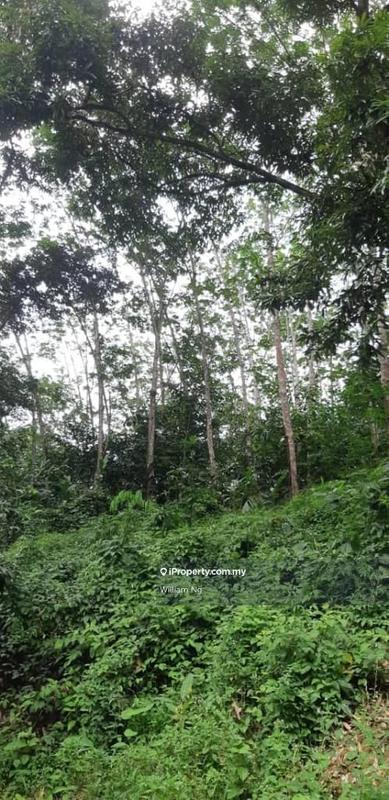 Tanah Pertanian untuk Dijual di Taman Jelebu, Kuala Klawang oleh William Ng - iProperty.com.my