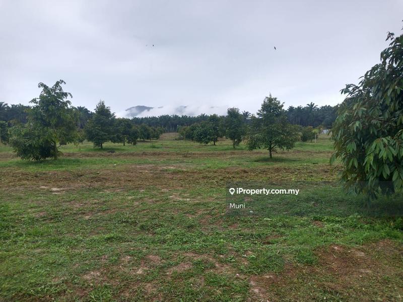 Agricultural Land for Sale in Ipoh Country Park, Gopeng by Muni - iProperty.com.my