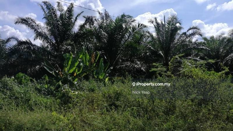 For Sale - Mentakab, Temerloh, Lanchang