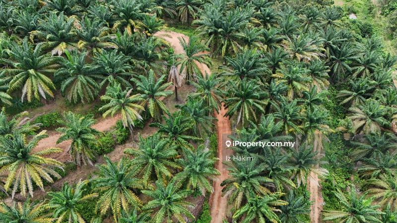 Agricultural Land for Sale in Kuala Kubu Baru, Selangor by Iz Hakim - iProperty.com.my