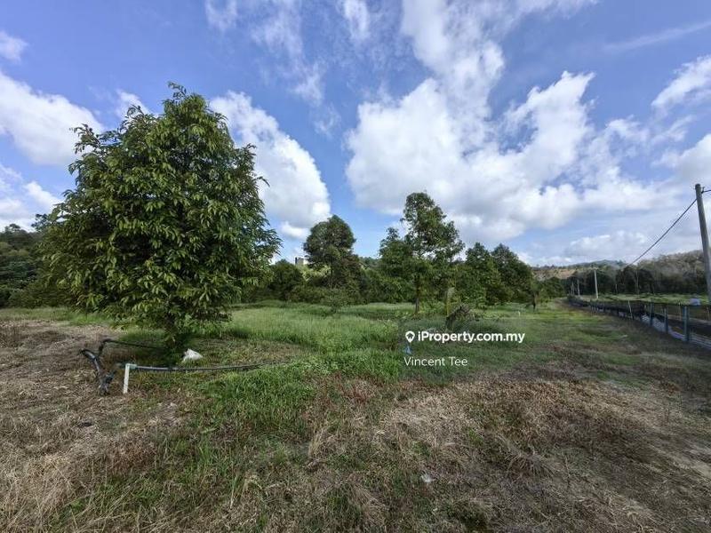 Agricultural Land for Sale in Bandar Lipis, Kuala Lipis by Vincent Tee - iProperty.com.my
