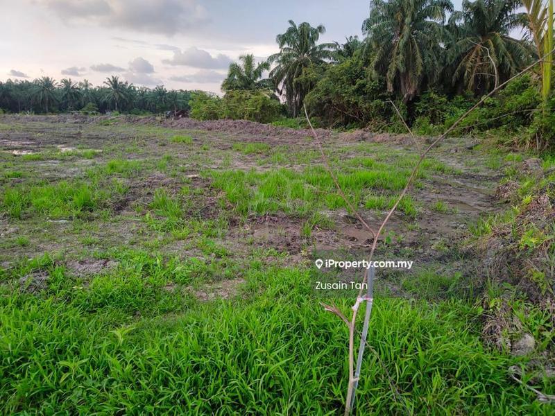 Agricultural Land untuk Dijual di Kampung Permatang Pasir, Balik Pulau oleh Zusain Tan - Exterior - iProperty.com.my
