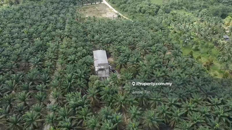 Tanah Pertanian untuk Dijual di Kota Tinggi, Johor oleh Jessie Tan - iProperty.com.my