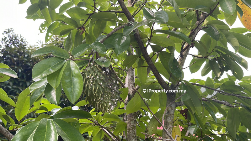 Banglo untuk Dijual di Bandar Tiram, Ulu Tiram oleh Fion - iProperty.com.my