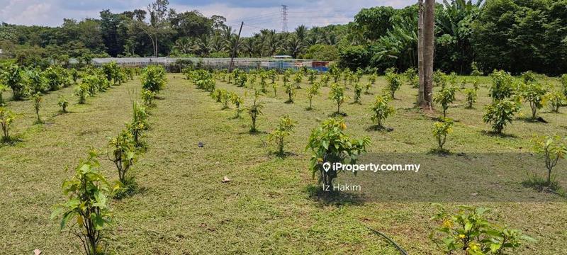 Agricultural Land for Sale in Batang Kali, Selangor by Iz Hakim - iProperty.com.my