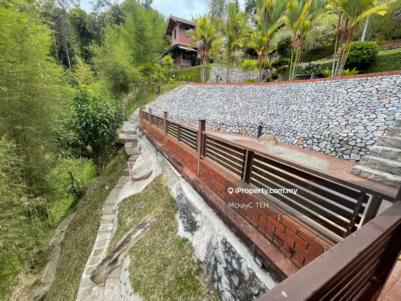 Agricultural Land for Sale in Bukit Tinggi, Bentong by MckayC TEH - iProperty.com.my