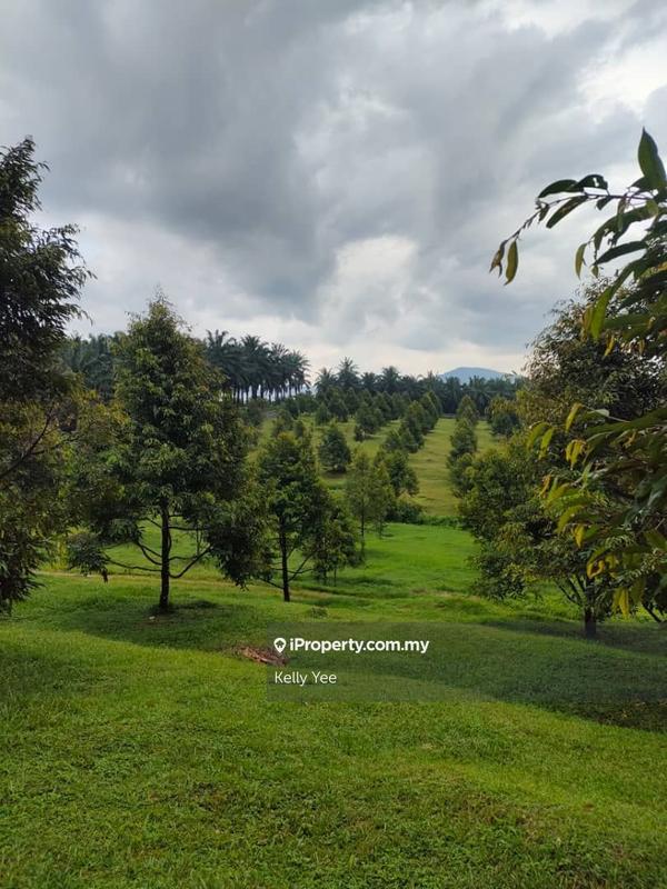 Tanah Pertanian untuk Dijual di Kampung Sungai Terap, Serdang oleh Kelly Yee - iProperty.com.my