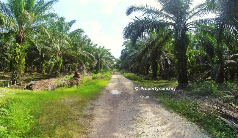 Tanah Pertanian untuk Dijual di Banting, Banting oleh Li-Shun - iProperty.com.my