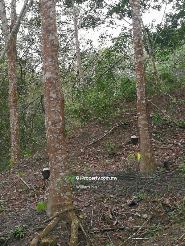 Tanah Pertanian untuk Dijual di Taman Jelebu, Kuala Klawang oleh William Ng - iProperty.com.my