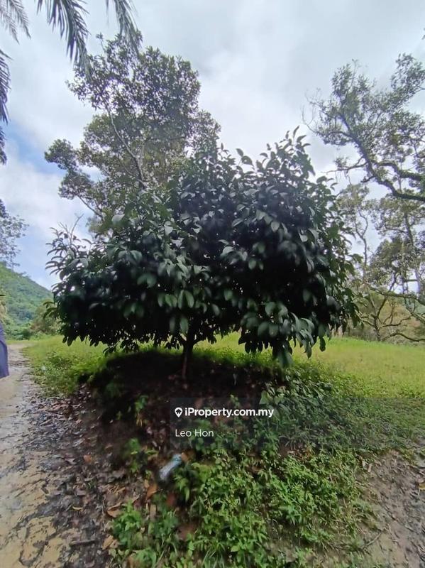 Agricultural Land for Sale in MANTIN, Seremban by Leo Hon - iProperty.com.my