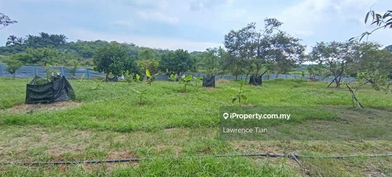 Tanah Pertanian untuk Dijual di Kampung Nyatoh, Rantau oleh Lawrence Tian - iProperty.com.my