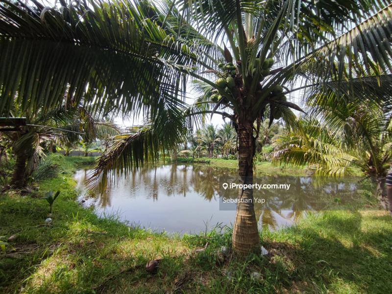 Agricultural Land for Sale in Taman Rasa Utama, Rasa by Sebastian Yap - iProperty.com.my