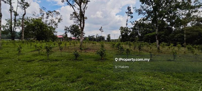 Agricultural Land for Sale in Batang Kali, Selangor by Iz Hakim - iProperty.com.my