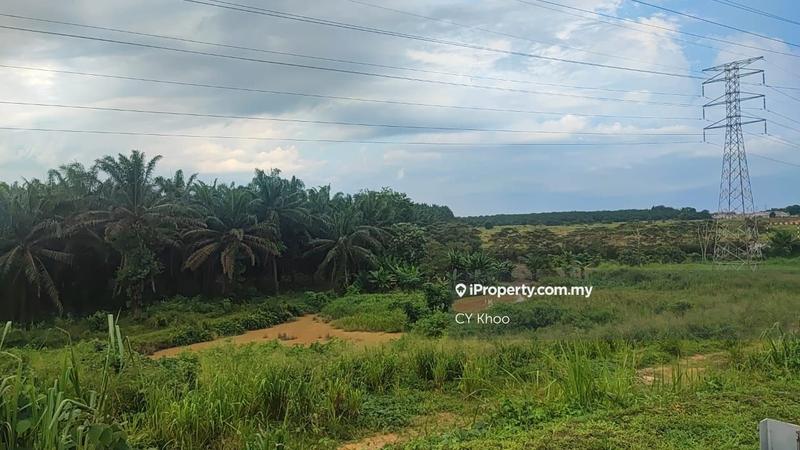 Agricultural Land for Sale in Johor Kluang Taman Puteri 1168 acres Mix deverlope, Kluang by CY Khoo - iProperty.com.my