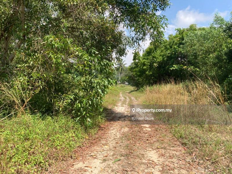 Agricultural Land for Sale in Kampung Sungai Ular, Sungai Karang by Ismael Stork - iProperty.com.my