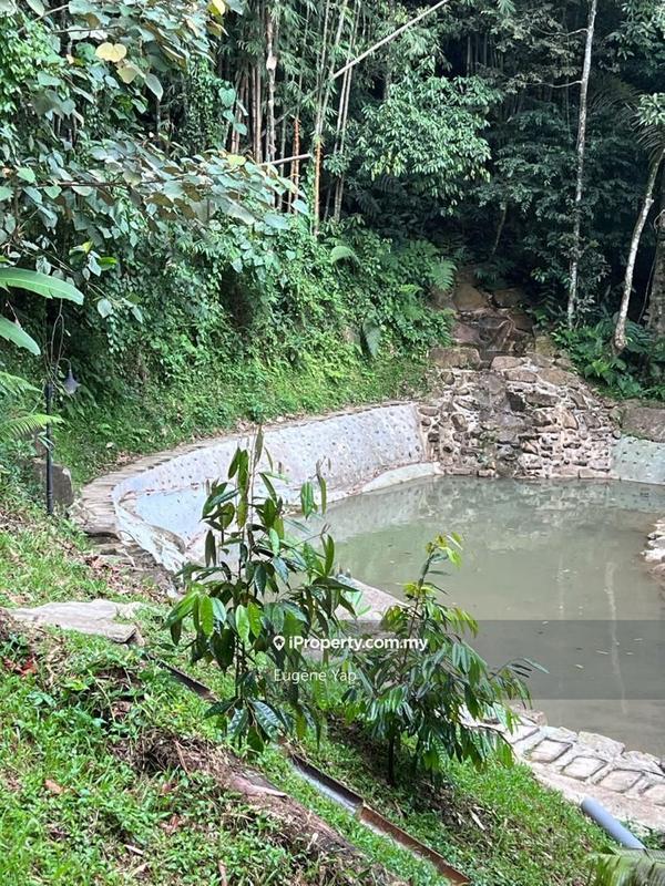 Tanah Pertanian untuk Dijual di 3 Acre Resort,Tanarimba @ Janda Baik, Bukit Tinggi, Bentong oleh Eugene Yap - iProperty.com.my