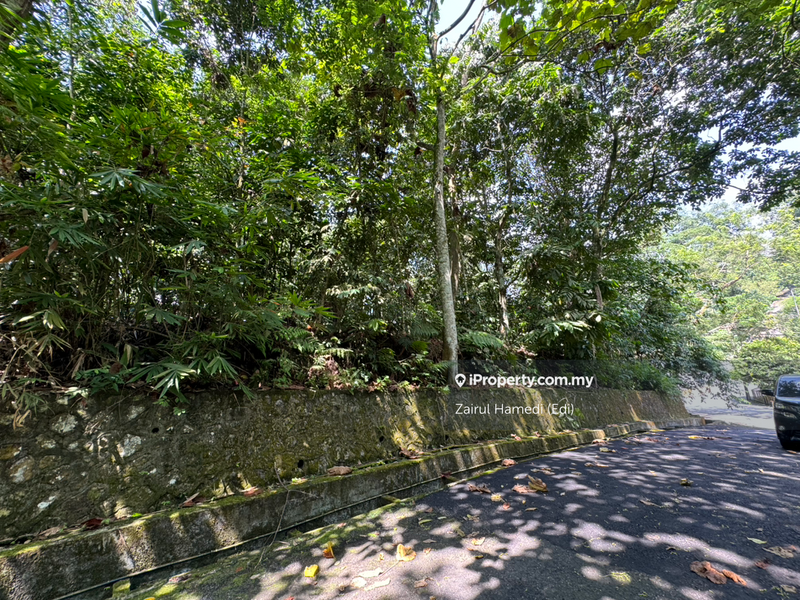Tanah Komersial untuk Dijual di Kampung Palimbayan, Sungai Penchala oleh Zairul Hamedi (Edi) - iProperty.com.my