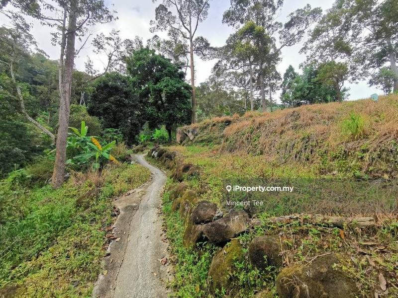 Agricultural Land for Sale in Sungai Nibong, Bayan Lepas by Vincent Tee - iProperty.com.my