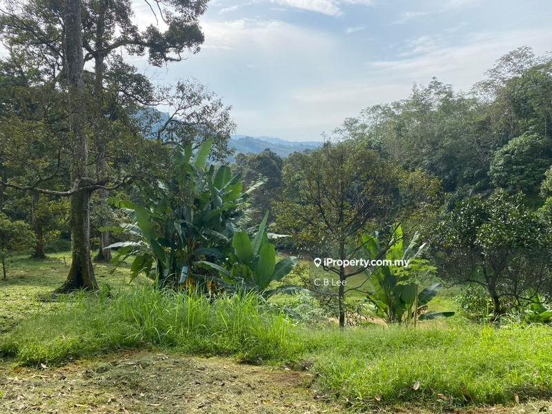 Residential Land for Sale in Broga, Lenggeng by C.B.Lee - iProperty.com.my