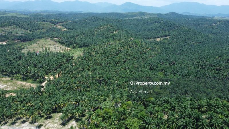 Agricultural Land for Sale in Rembau, Rembau by Aziz Ahmad - iProperty.com.my
