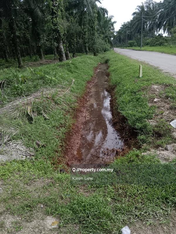 Agricultural Land for Sale in Teluk Panglima Garang, Banting by Karen Liew - iProperty.com.my