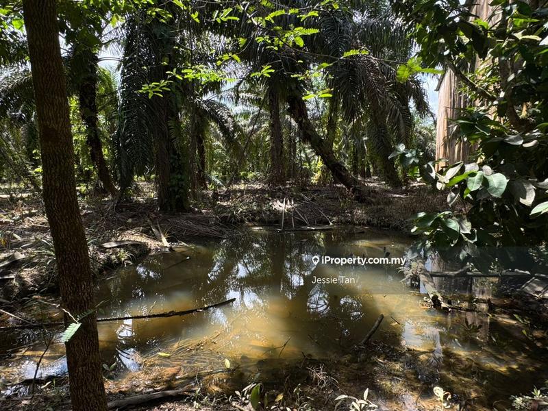 Tanah Pertanian untuk Dijual di Kota Tinggi, Johor oleh Jessie Tan - iProperty.com.my