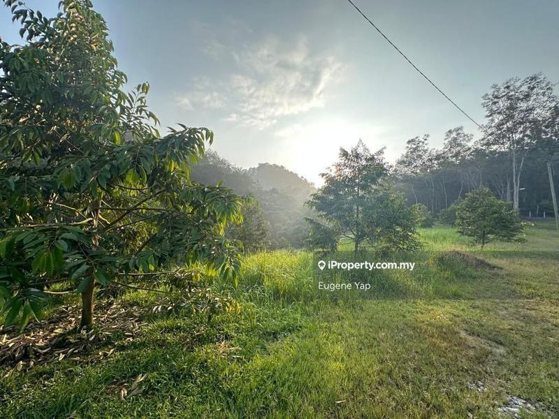 Agricultural Land for Sale in Serendah, Rawang by Eugene Yap - iProperty.com.my