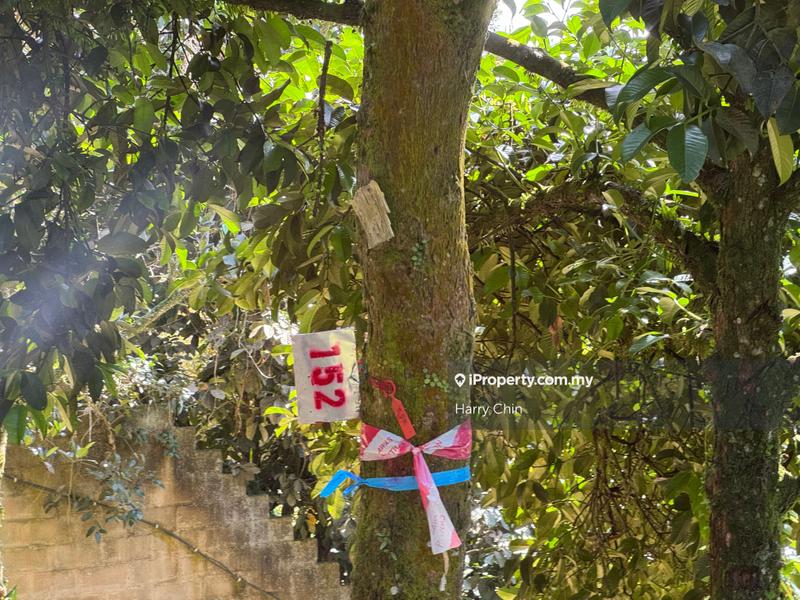 Agricultural Land for Sale in Karak, Bentong by Harry Chin - iProperty.com.my