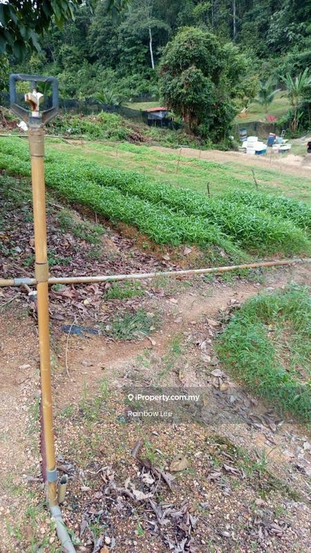 Agricultural Land for Sale in Seremban, Seremban by Rainbow Lee - iProperty.com.my