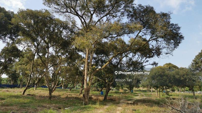 Agricultural Land for Sale in Beranang, Ulu Langat by Wilson Tan - iProperty.com.my